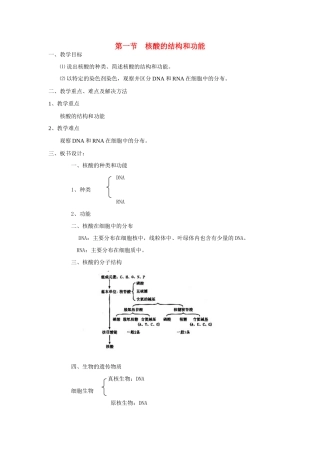 高中生物《核酸的结构和功能》教案3 中图版必修1