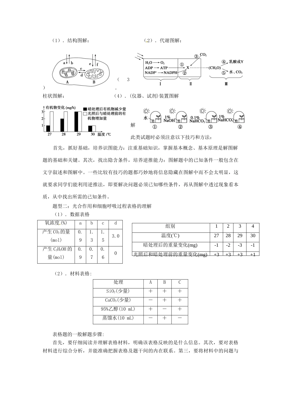高考生物二轮复习 光合作用与呼吸作用教案-人教版高三全册生物教案_第3页