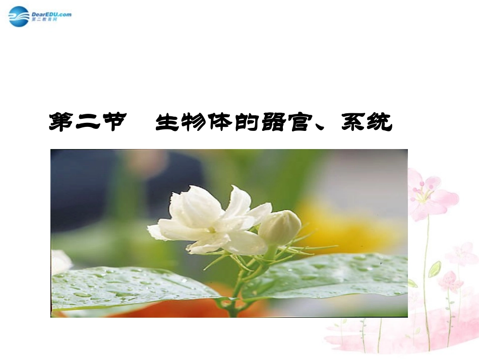 七年级生物上册 第4章 第2节 生物体的器官和系统课件3. 北师大版_第1页