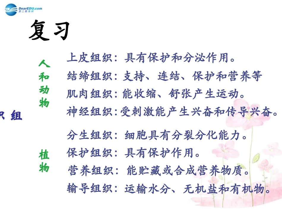 七年级生物上册 第4章 第2节 生物体的器官和系统课件3. 北师大版_第2页