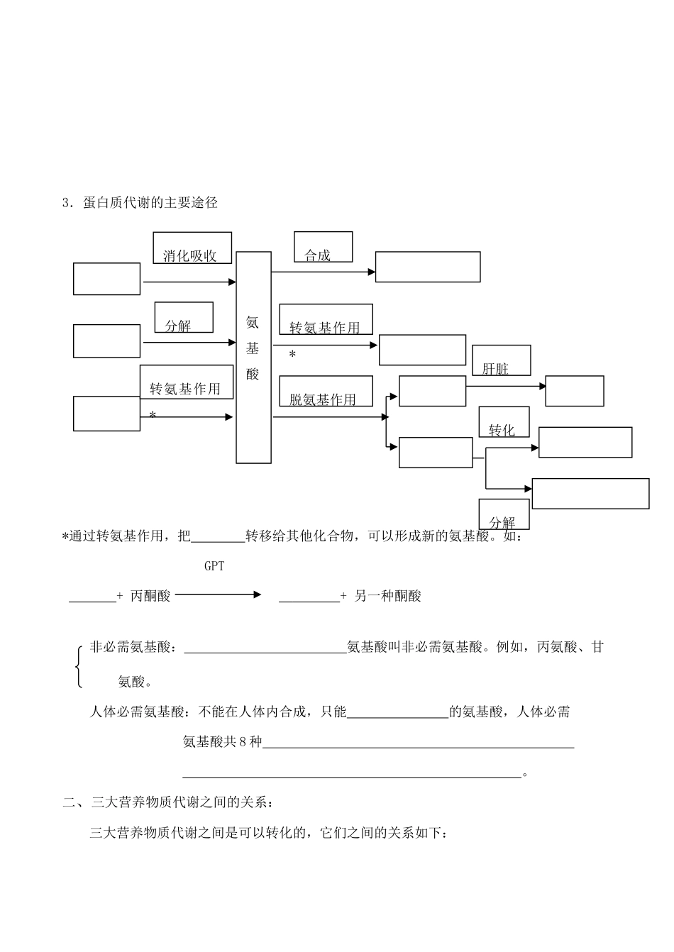 高考生物第一轮系列讲座 第11讲  人和动物体内三大营养物质的代谢_第2页