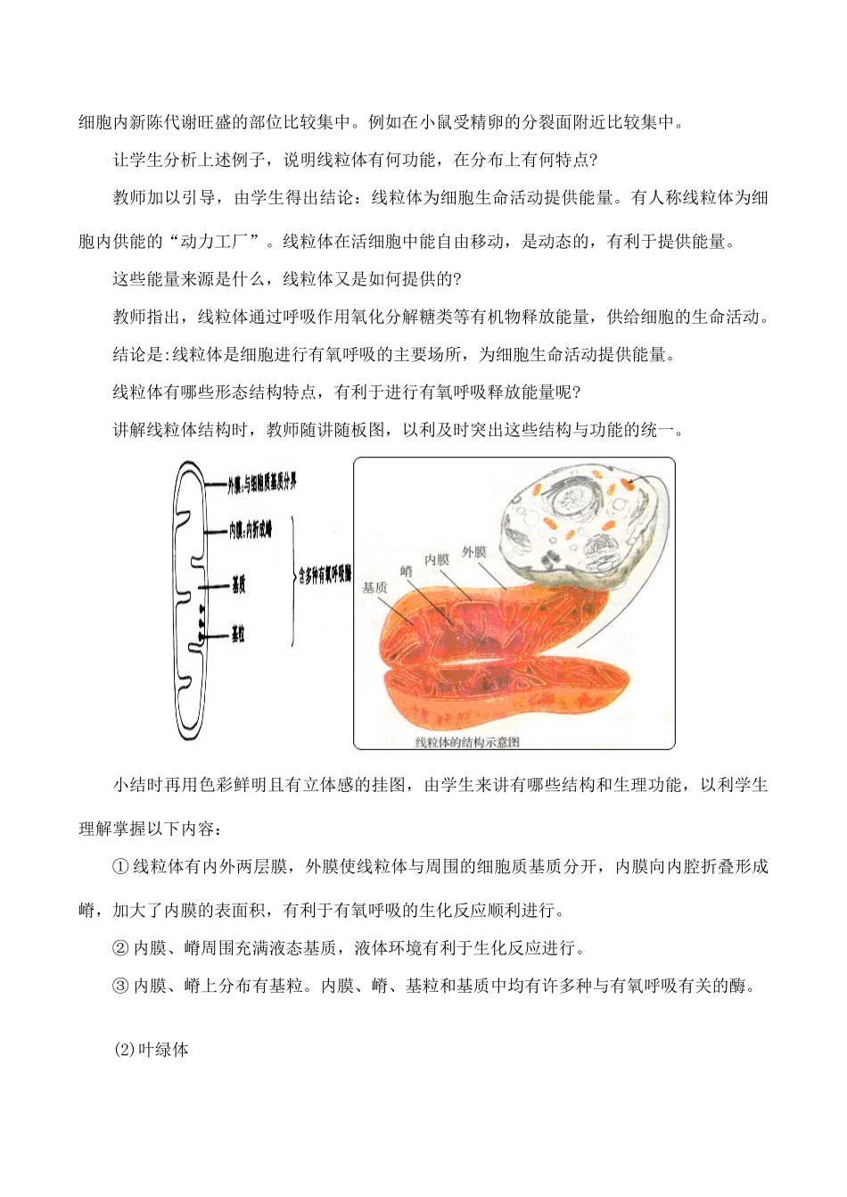 高二生物 细胞质的结构和功能_第3页