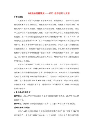 高中生物《细胞的能量通货--ATP》教案1