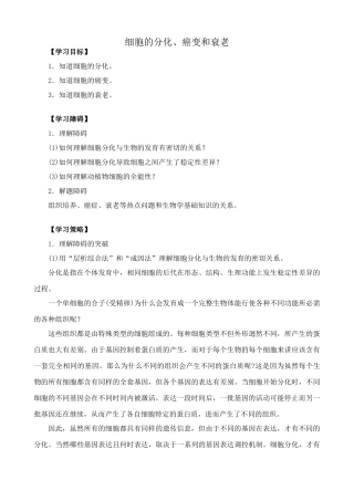 高中生物细胞分化、癌变和衰老2人教版 必修1