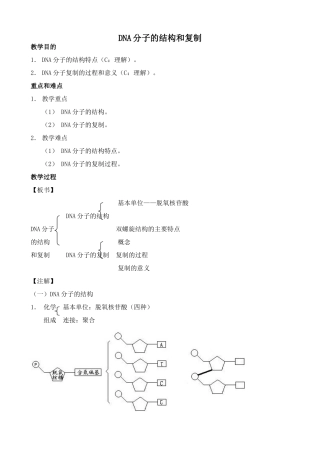 高中生物DNA分子的结构和复制教案1新课标 人教版 必修2