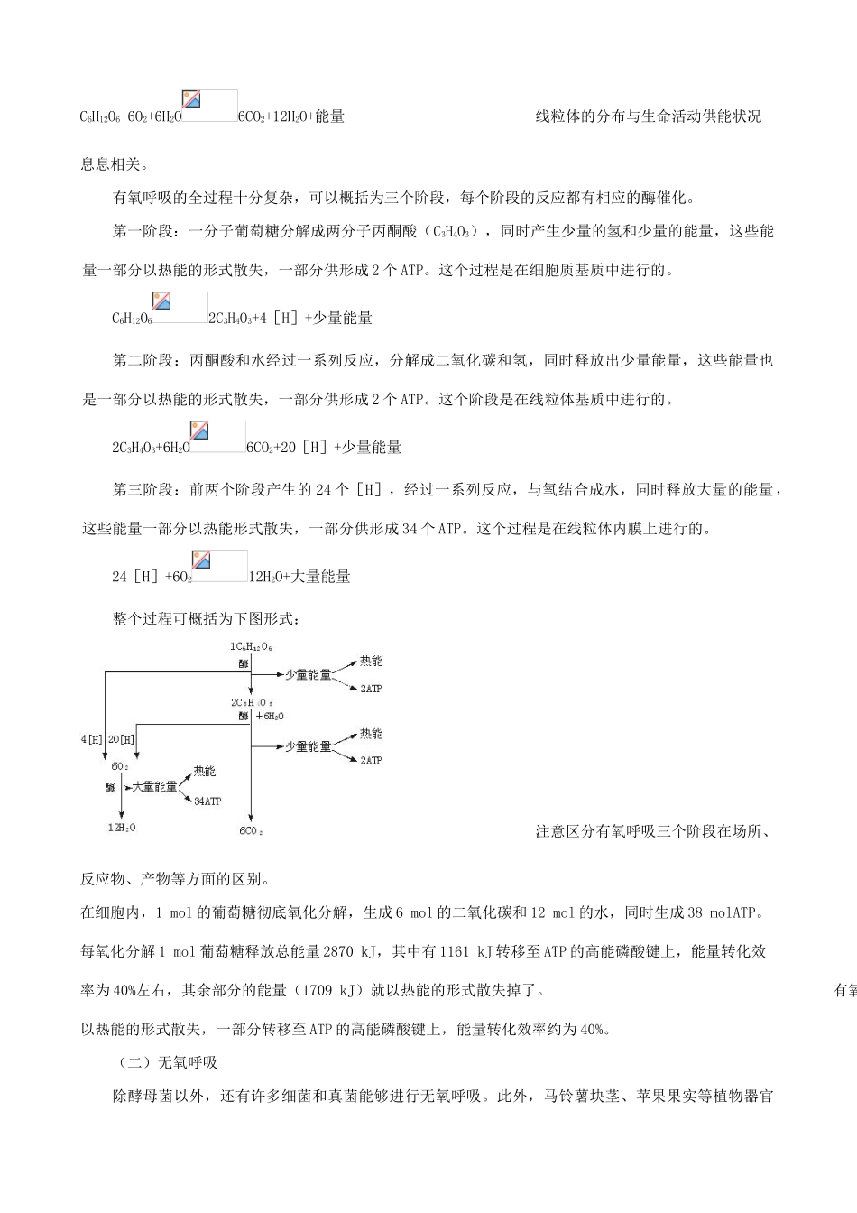 高中生物ATP的主要来源 细胞呼吸教材分析 新课标 人教版 必修1_第3页