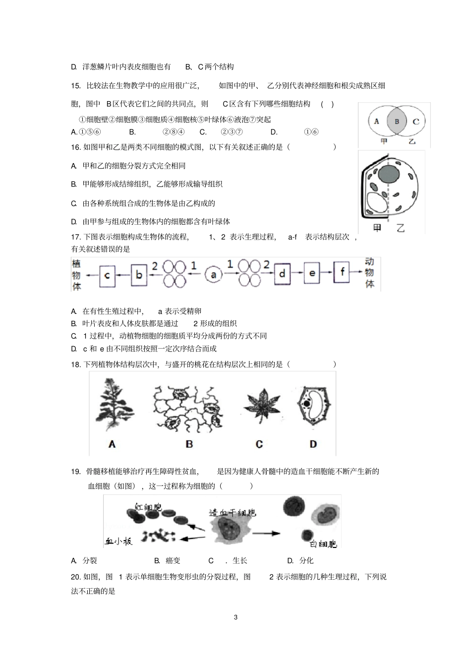 初中生物复习专题测试二生物体的结构层次(含答案)_第3页