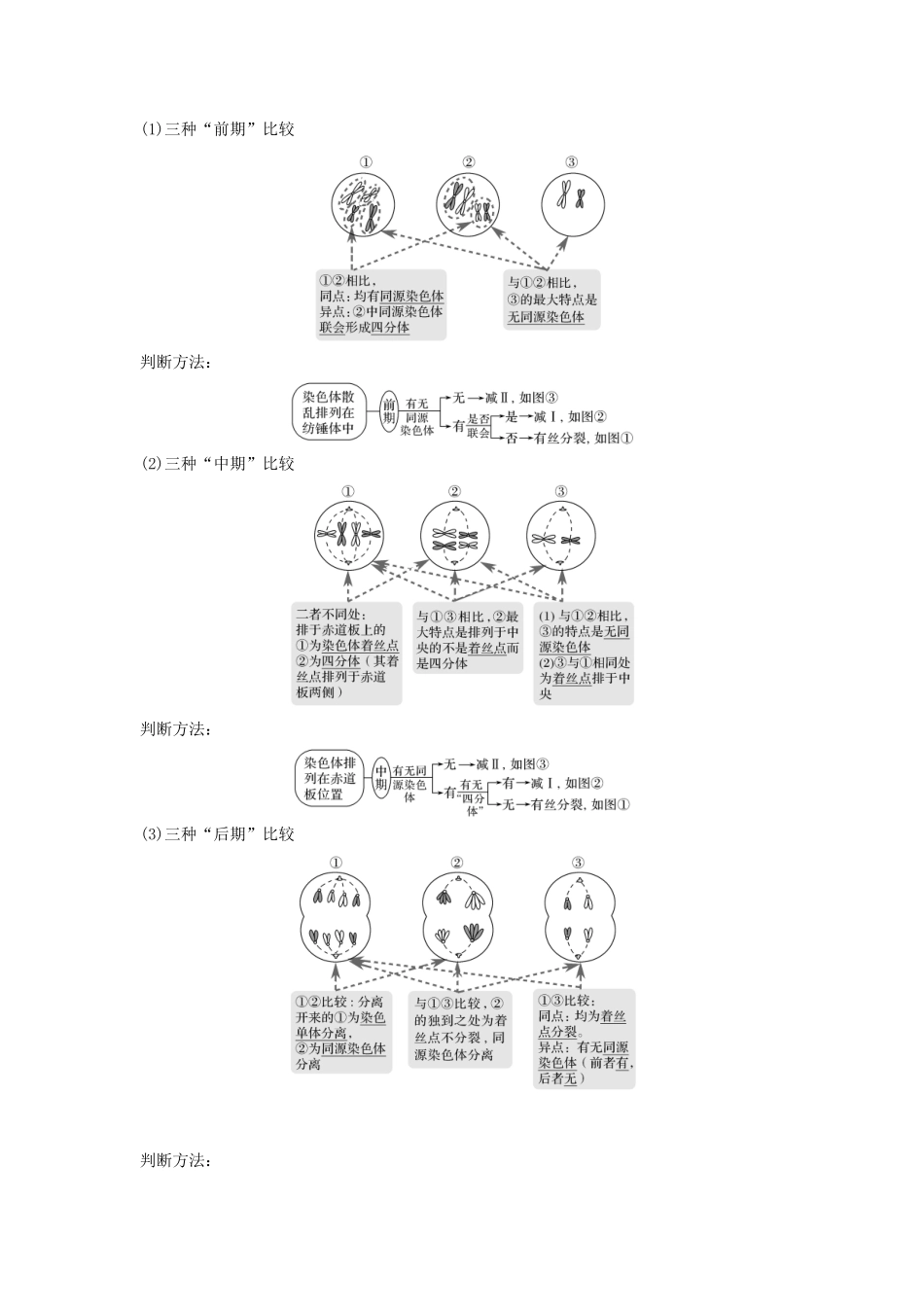 高考生物一轮复习 第五单元 细胞的生命历程 考点加强课2 减数分裂与有丝分裂的比较及减数分裂与可遗传变异的关系教案 中图版-中图版高三全册生物教案_第3页