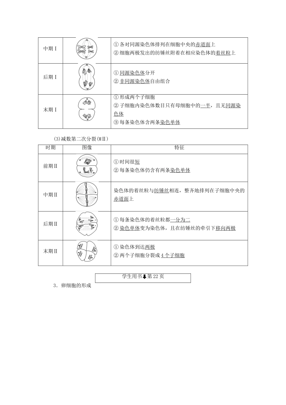 高中生物 第二章 染色体与遗传 第6课时 减数分裂中的染色体变化（Ⅰ）教案（必修2）-人教版高中必修2生物教案_第3页