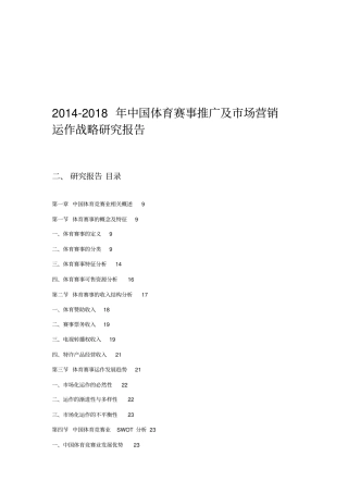 体育赛事推广及市场营销运作战略研究报告.doc