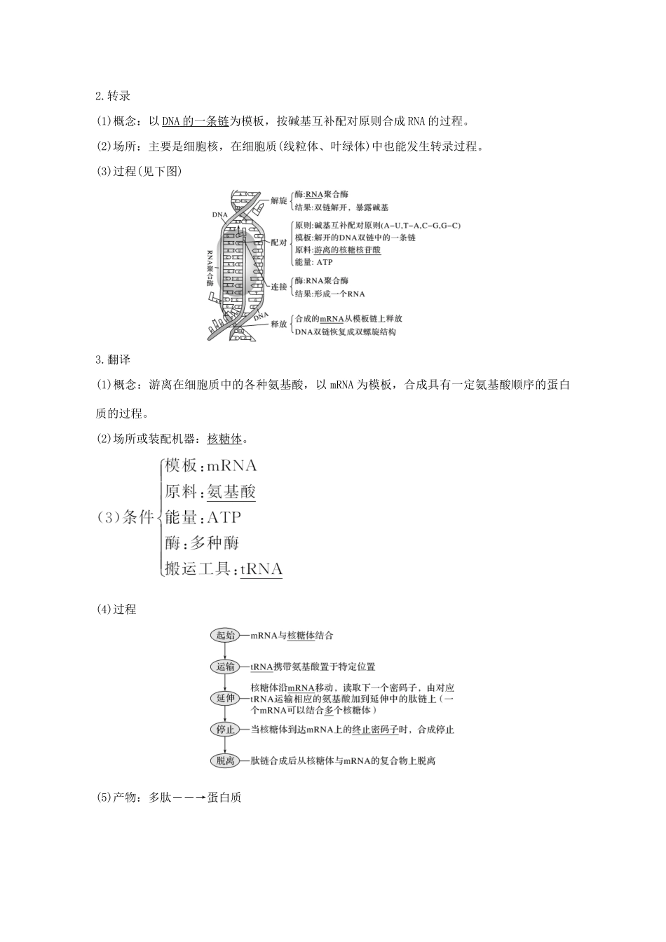 （鲁京津琼）高考生物总复习 第18讲 基因的表达教案-人教版高三全册生物教案_第2页
