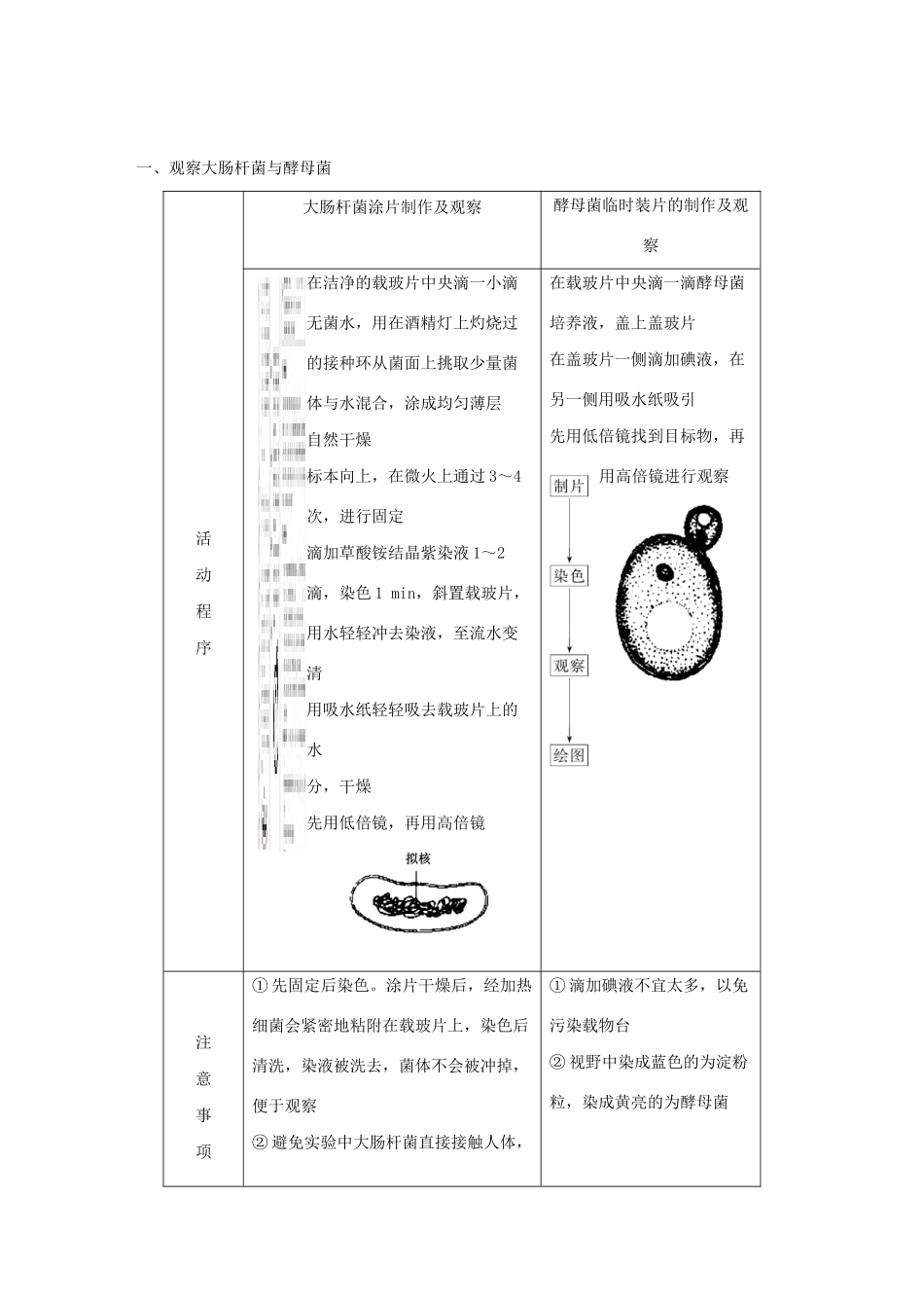 高中生物 第一单元 第二章 细胞的构成 第三节 真核细胞与原核细胞教案 中图版必修1-中图版高中必修1生物教案_第3页