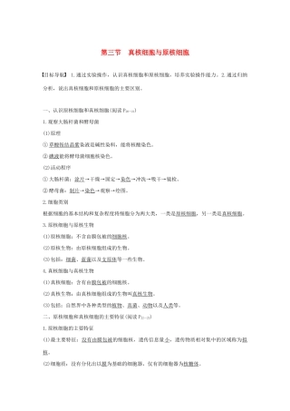 高中生物 第一单元 第二章 细胞的构成 第三节 真核细胞与原核细胞教案 中图版必修1-中图版高中必修1生物教案