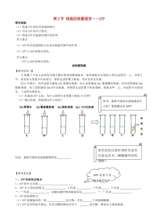 高中生物 细胞的能量“通货” 教案 新人教版必修1
