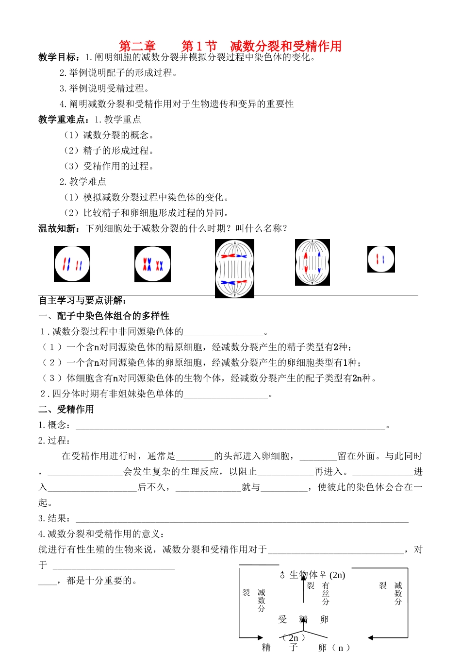 高中生物 《减数分裂和受精作用》教案4 新人教版必修2_第1页