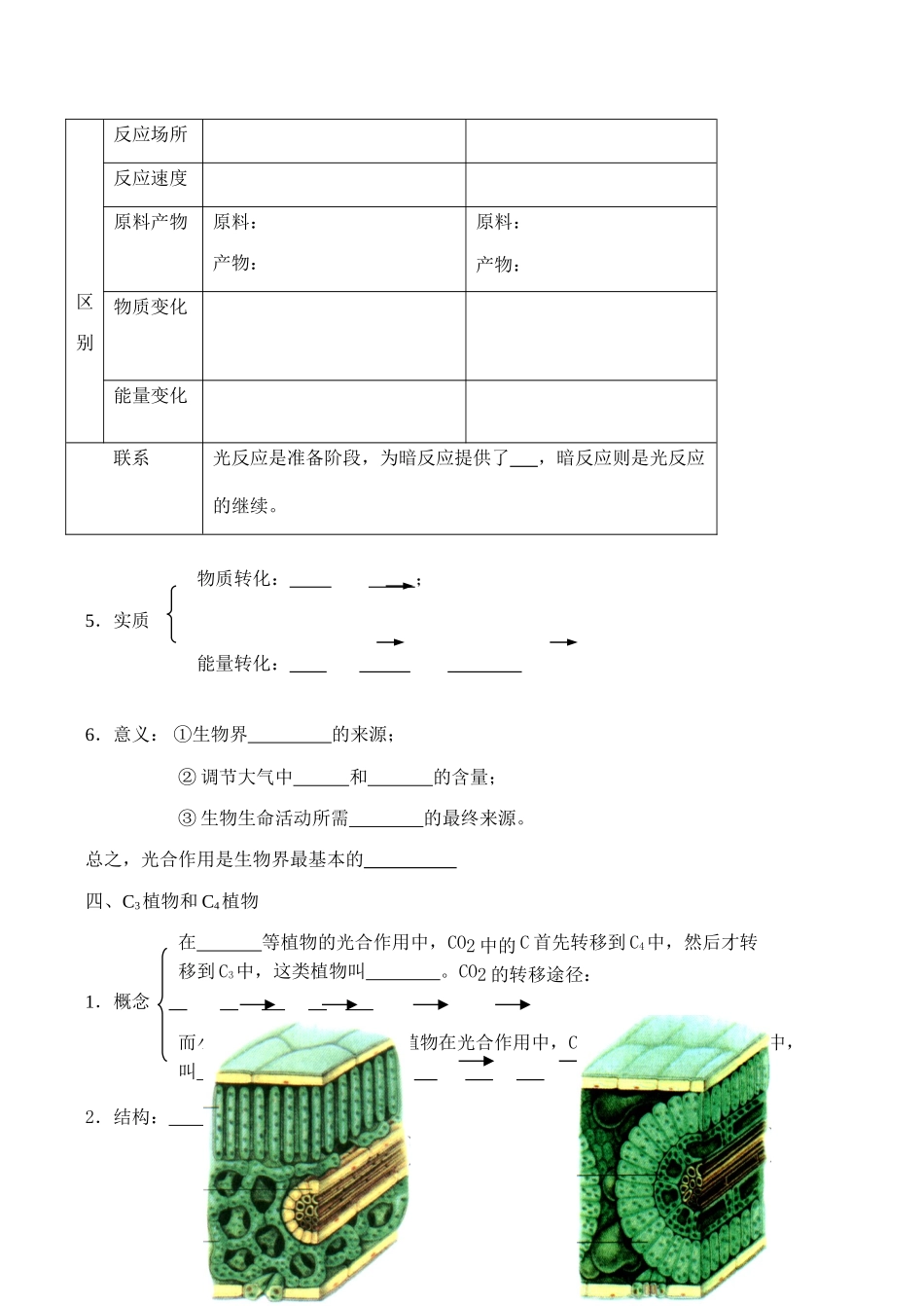 高考生物第一轮系列讲座 第9讲   光合作用_第3页