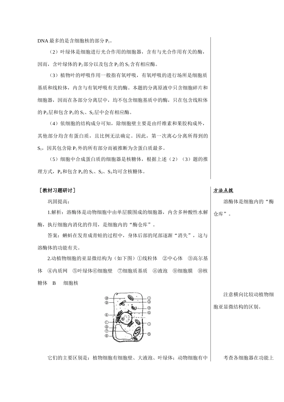 高中生物《细胞的基本结构》教案2 中图版必修1_第3页
