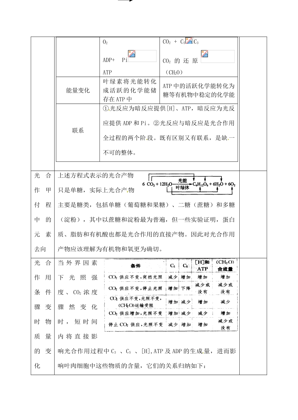 高中生物 5.4能量之源—光与光合作用3教案 新人教版必修1_第3页
