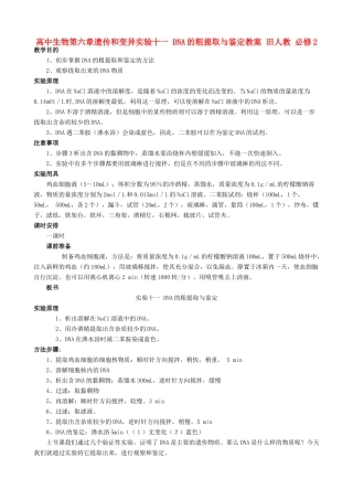 高中生物第六章遗传和变异实验十一 DNA的粗提取与鉴定教案 旧人教 必修2