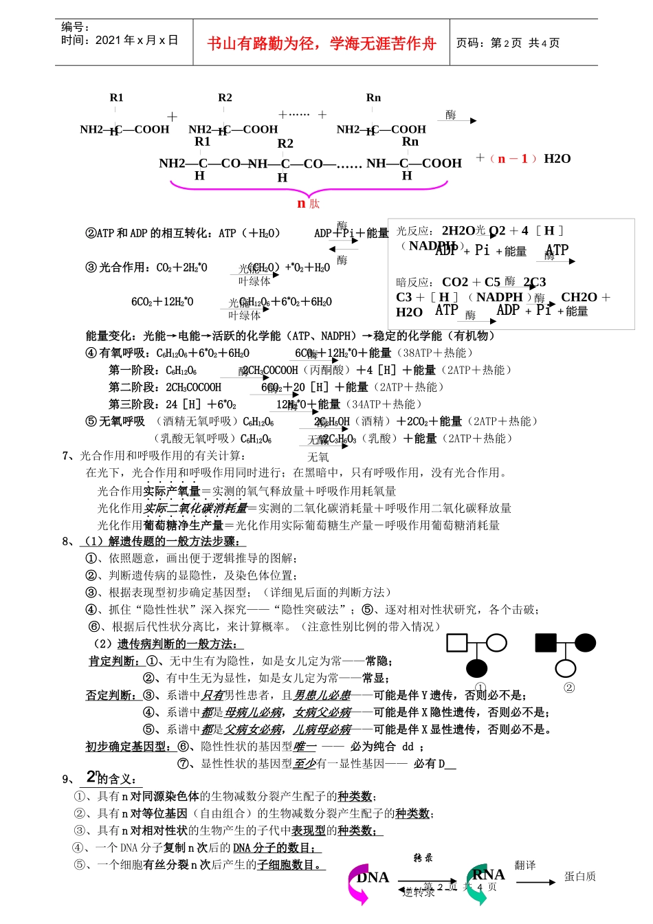 sw高中生物重要规律性关系及公式归纳_第2页