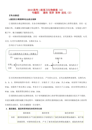 高中生物：专题四 遗传 变异 育种 进化教案（2）新人教版必修1
