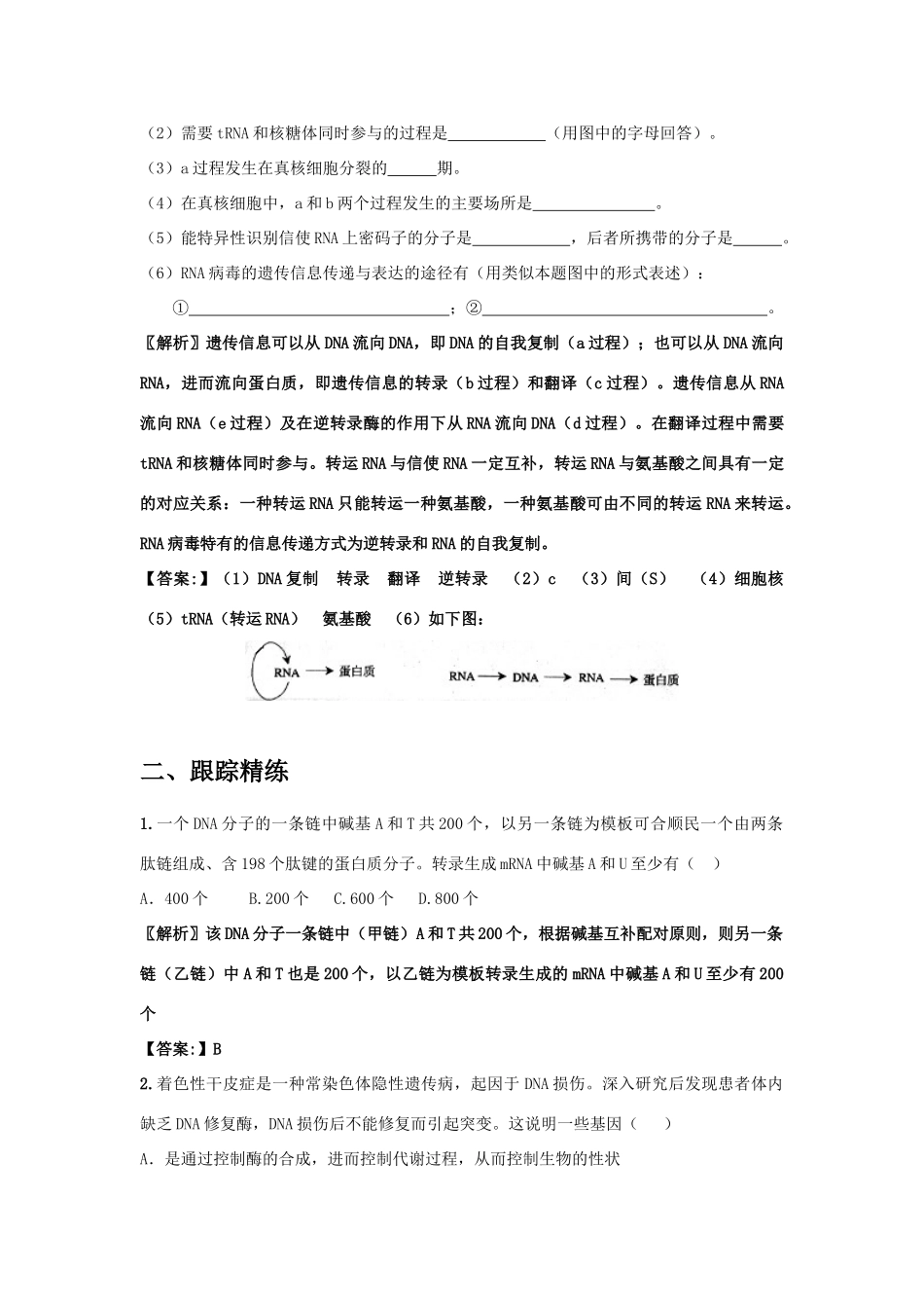 高中生物 考点解析与跟踪精练 基因的表达教案 人教版_第3页