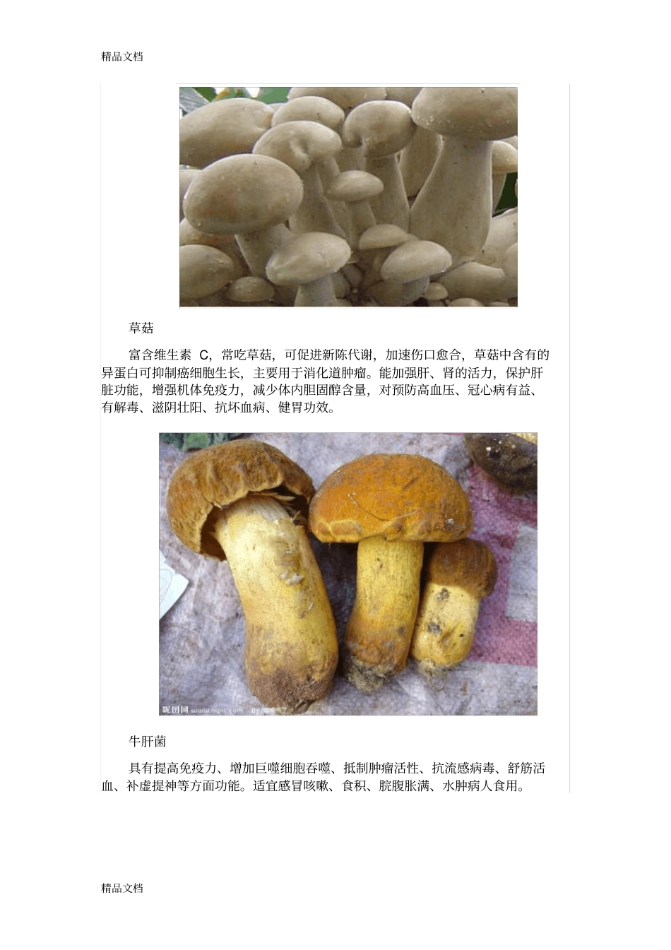 (整理)32种菌类的功效介绍._第2页