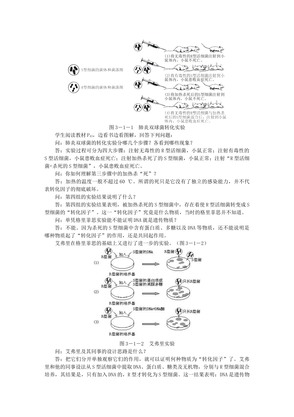 高中生物 DNA是主要的遗传物质示范教案 新人教版 _第3页