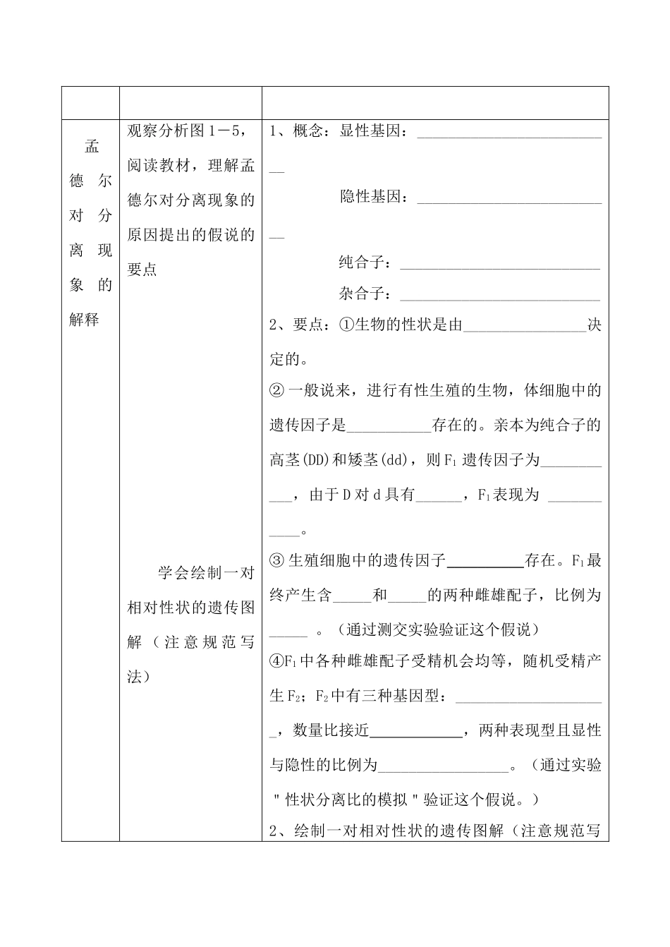 高中生物人教版必修2孟德尔的豌豆杂交试验（一）_第3页