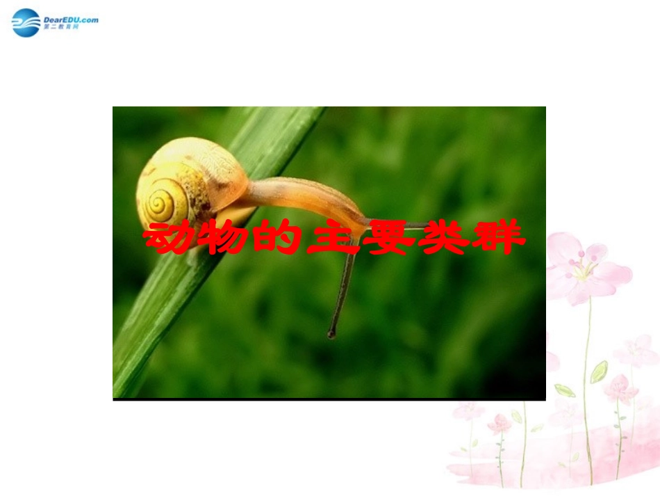 八年级生物下册 第22章 第四节 动物的主要类群课件1 （新版）北师大版_第1页