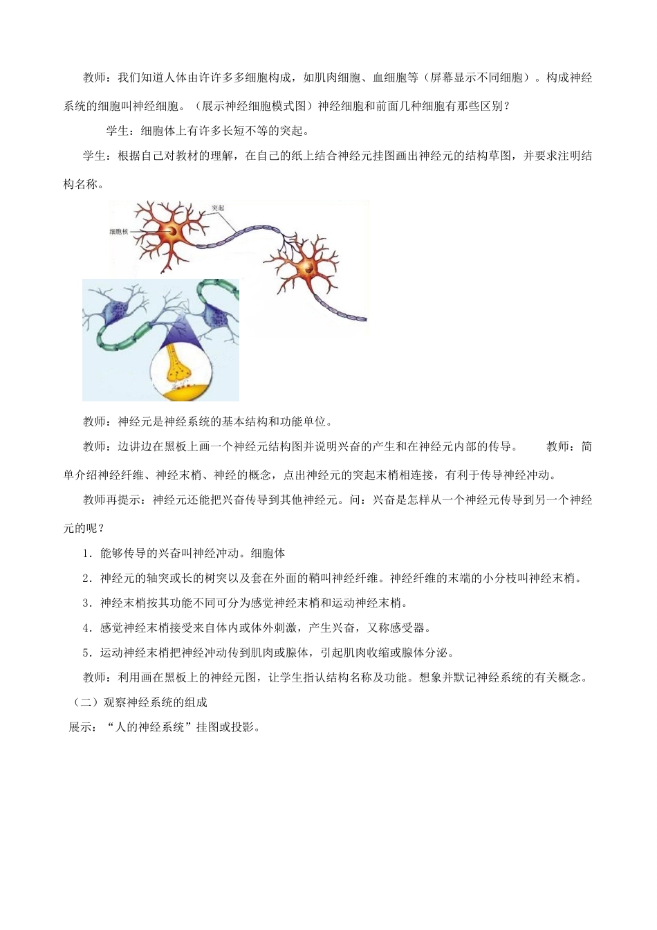 八年级生物上册 6.16.1人体的神经调节（第1课时）教案 （新版）苏科版-（新版）苏科版初中八年级上册生物教案_第2页