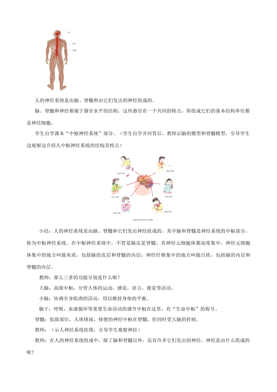 八年级生物上册 6.16.1人体的神经调节（第1课时）教案 （新版）苏科版-（新版）苏科版初中八年级上册生物教案_第3页