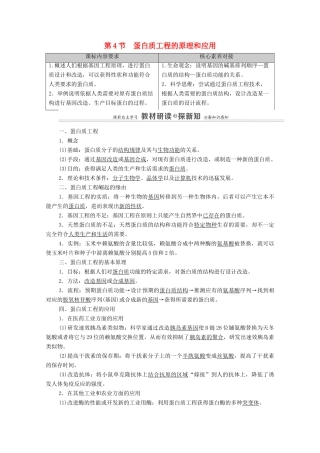 高中生物 第3章 基因工程 第4节 蛋白质工程的原理和应用教案 新人教版选择性必修3-新人教版高中选择性必修3生物教案