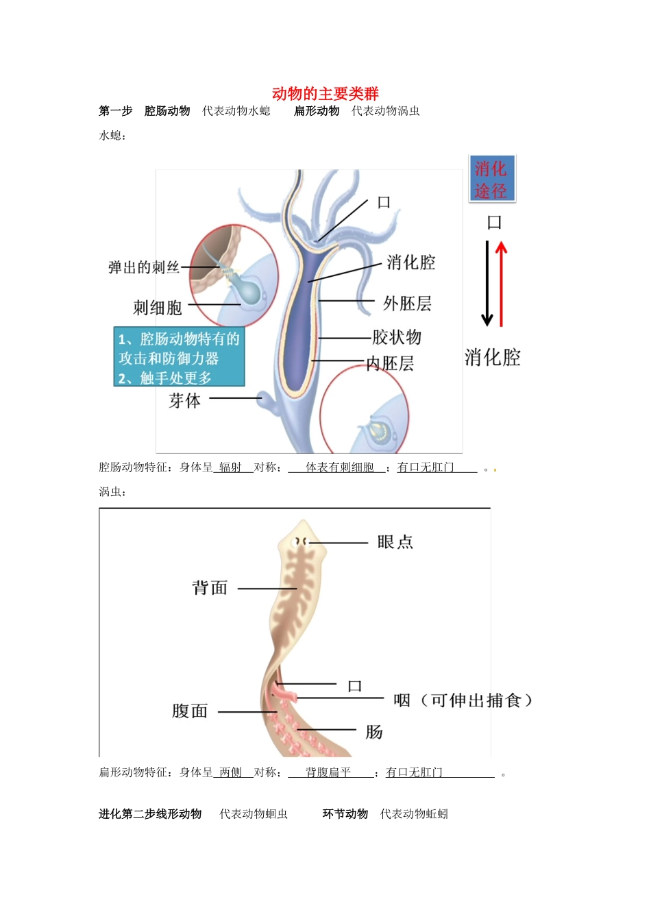 湖北省武汉市北大附中八年级生物上册《5.1 动物的主要类群》教案 新人教版_第1页