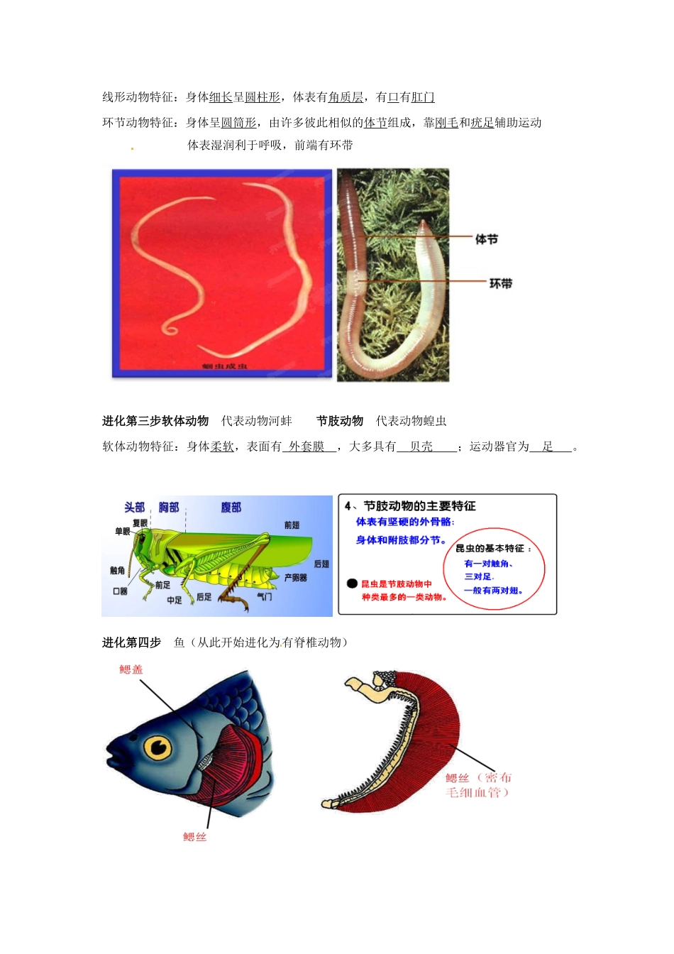 湖北省武汉市北大附中八年级生物上册《5.1 动物的主要类群》教案 新人教版_第2页