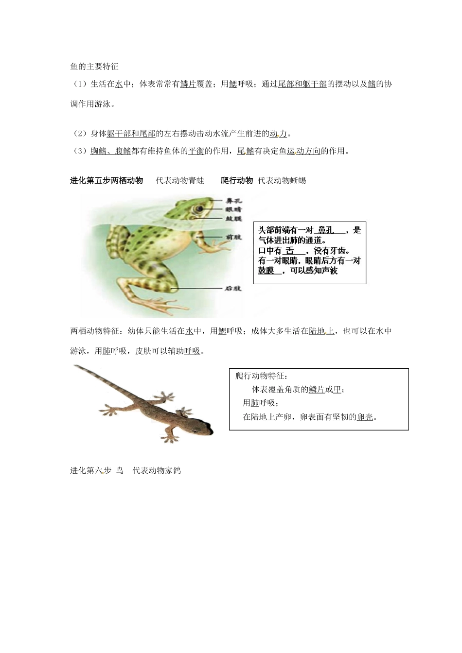 湖北省武汉市北大附中八年级生物上册《5.1 动物的主要类群》教案 新人教版_第3页