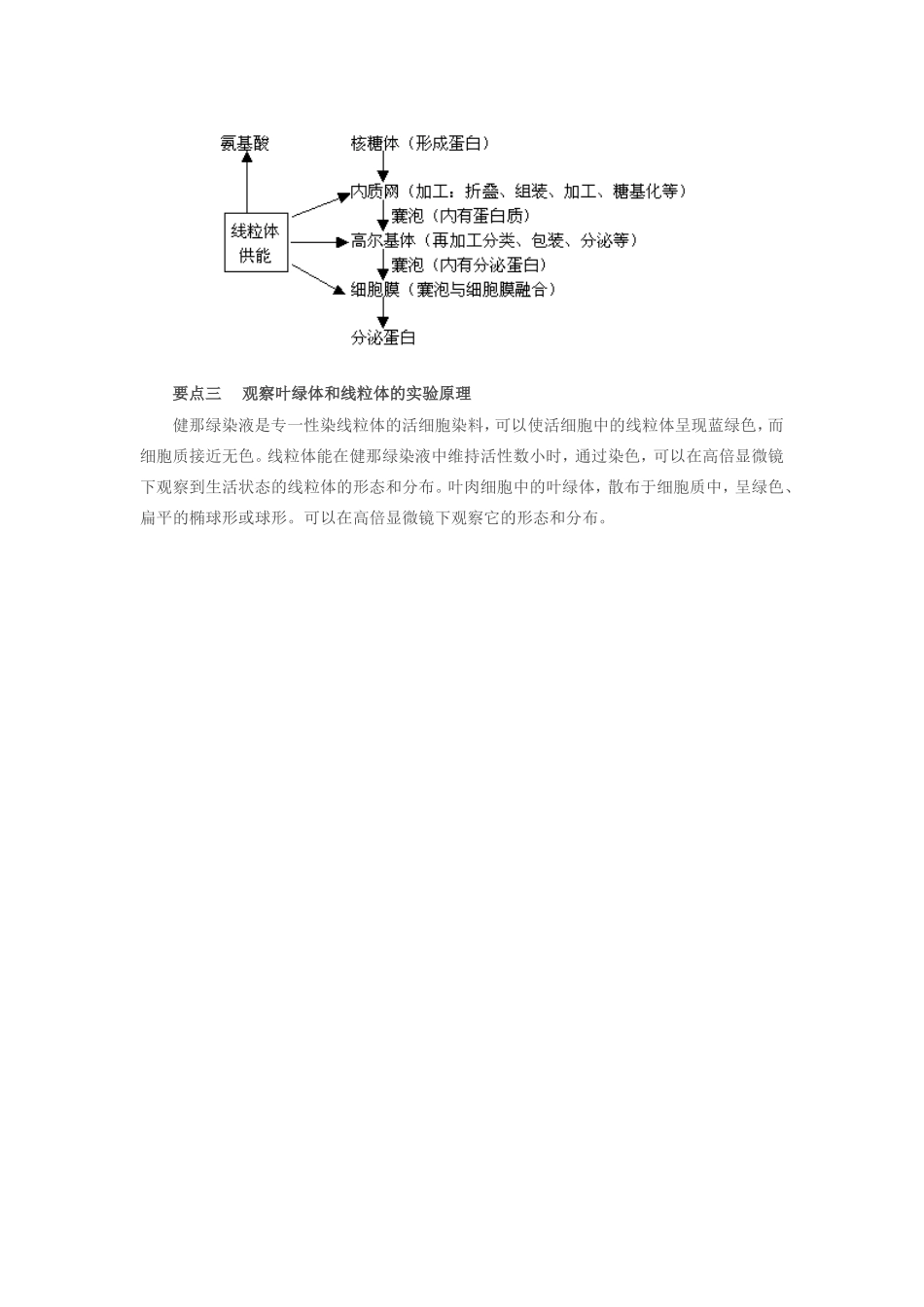 高三生物“细胞的基本结构——细胞质”要点精析学法指导_第2页