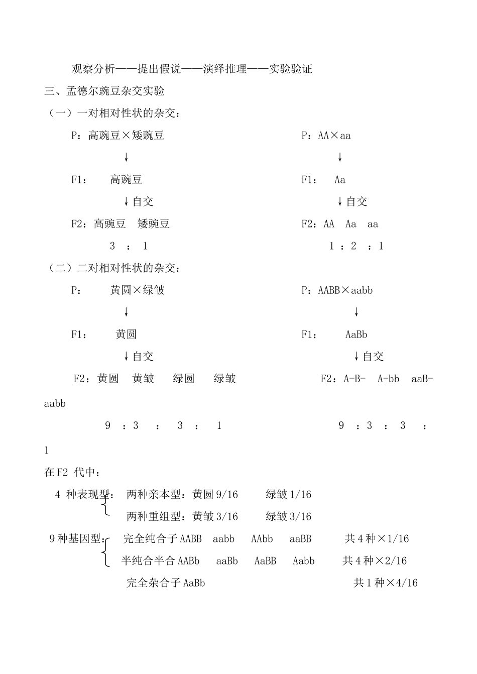 高中生物人教版必修2孟德尔的豌豆杂交实验_第2页