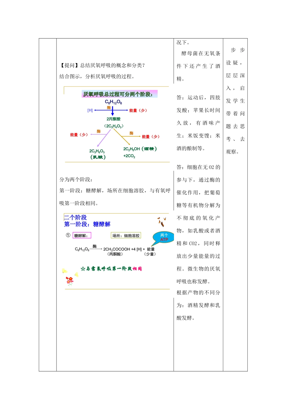 高中生物 第三章细胞的代谢 第四节细胞呼吸教案（1） 浙科版必修1_第3页