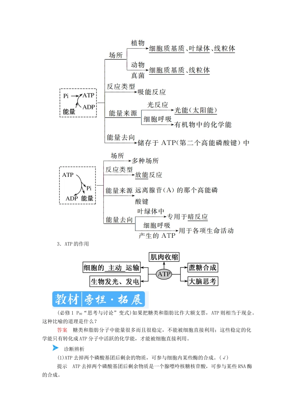 高考生物一轮复习 第三单元 细胞的能量供应和利用 第02讲 ATP与细胞呼吸教案 新人教版-新人教版高三全册生物教案_第2页