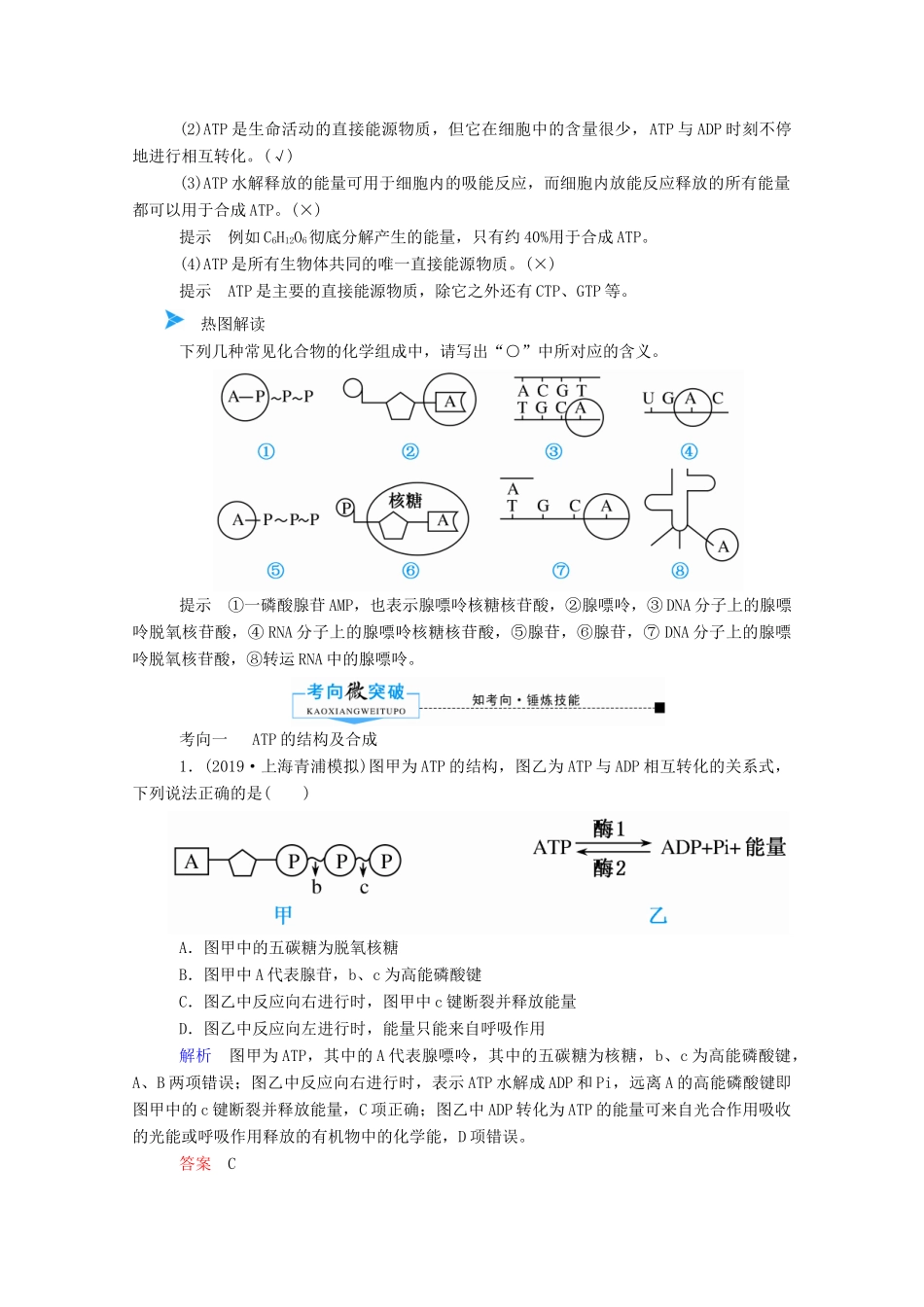 高考生物一轮复习 第三单元 细胞的能量供应和利用 第02讲 ATP与细胞呼吸教案 新人教版-新人教版高三全册生物教案_第3页