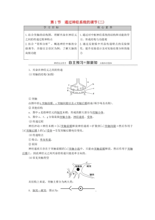 高中生物 第2章 动物和人体生命活动的调节 第1节 通过神经系统的调节2教案 新人教版必修3-新人教版高中必修3生物教案