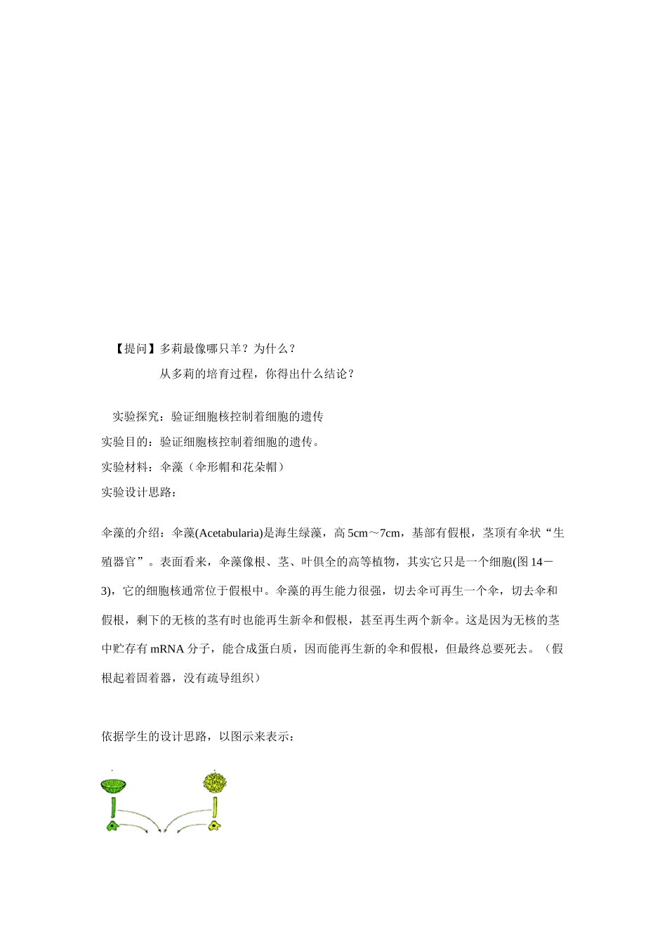 高中生物：2.4《细胞核》教案浙科版必修1_第3页