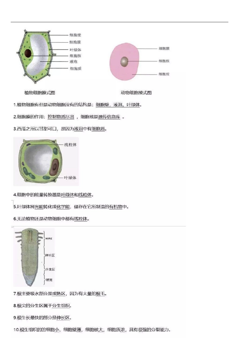 初中生物识图知识点大全,中考必备_第1页
