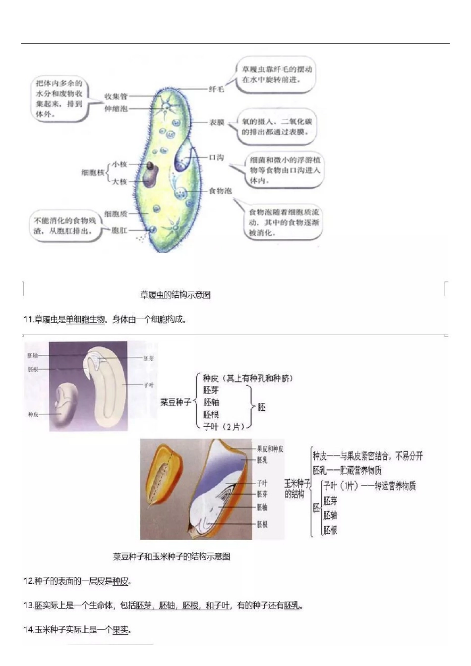 初中生物识图知识点大全,中考必备_第2页