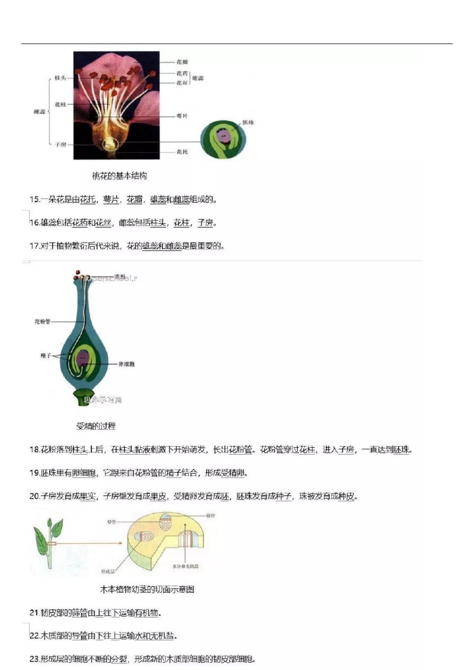 初中生物识图知识点大全,中考必备_第3页