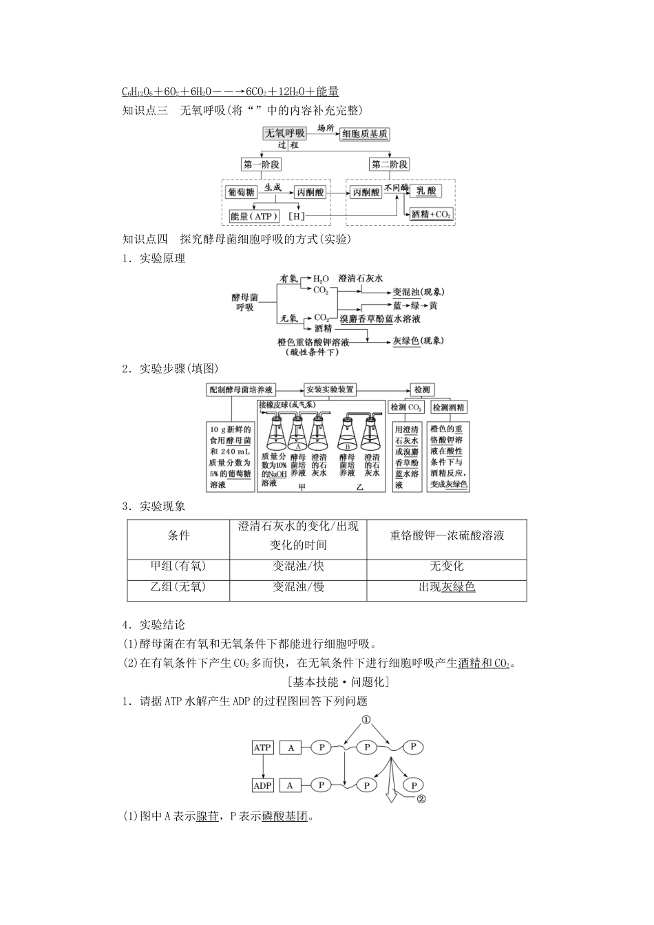 高考生物一轮复习 第三单元 细胞的能量供应和利用 第二讲 ATP与细胞呼吸精选教案-人教版高三全册生物教案_第2页