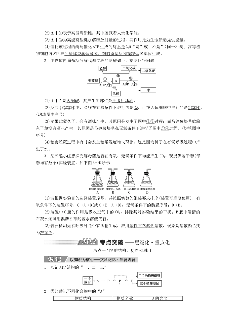 高考生物一轮复习 第三单元 细胞的能量供应和利用 第二讲 ATP与细胞呼吸精选教案-人教版高三全册生物教案_第3页