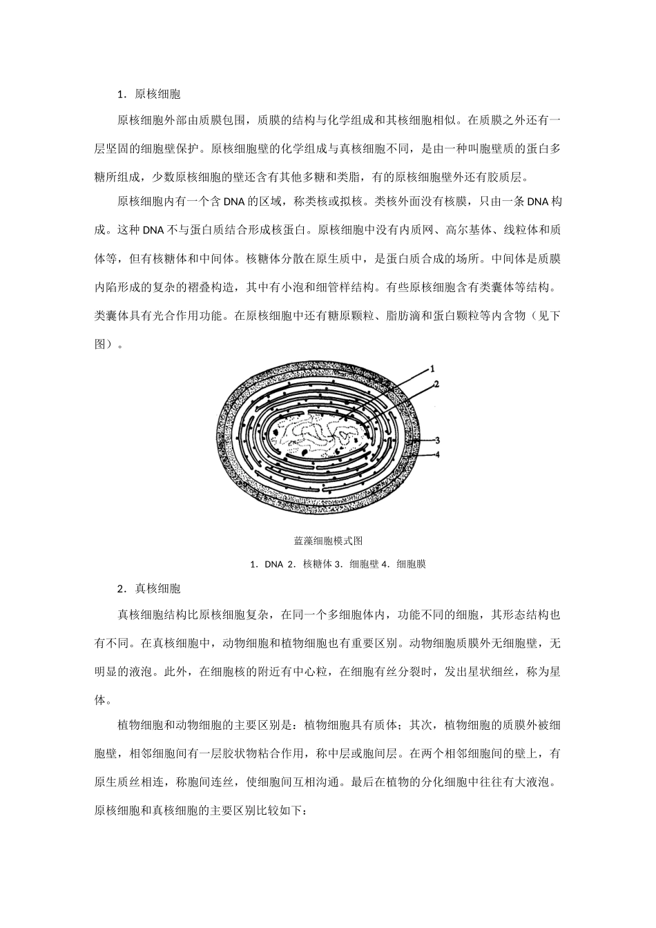 高中生物竞赛辅导讲座 第八讲细胞生物学_第3页