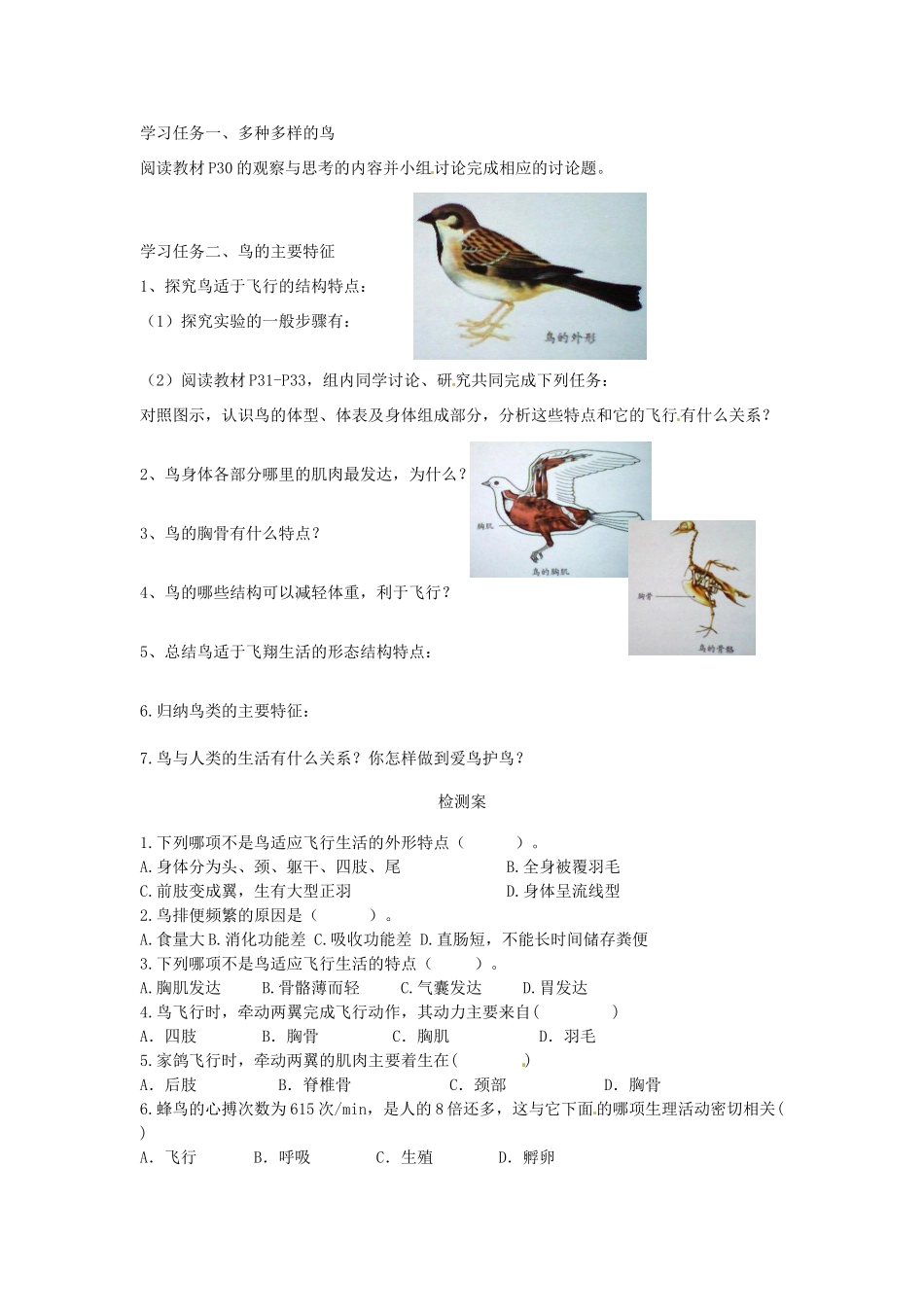 八年级生物上册 5.1.6 鸟导学案（无答案）（新版）新人教版_第2页